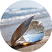 Perles et Cristal